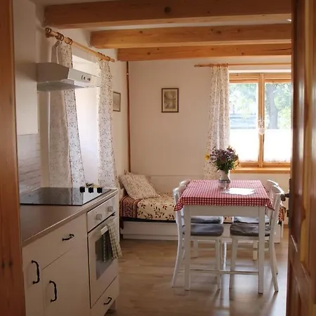 Pod Zamkem Apartment Mnichovo Hradiště