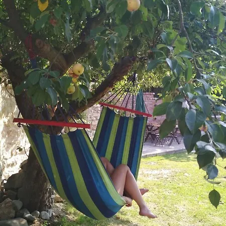 Pod Zamkem Appartement *