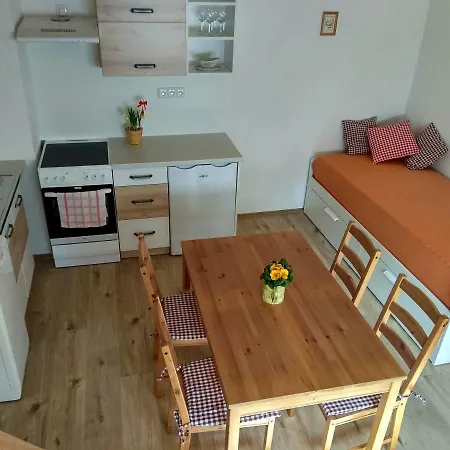 Pod Zamkem Apartment *