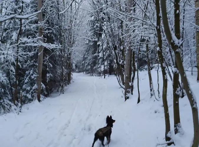 Pod Zamkem * Mnichovo Hradiště