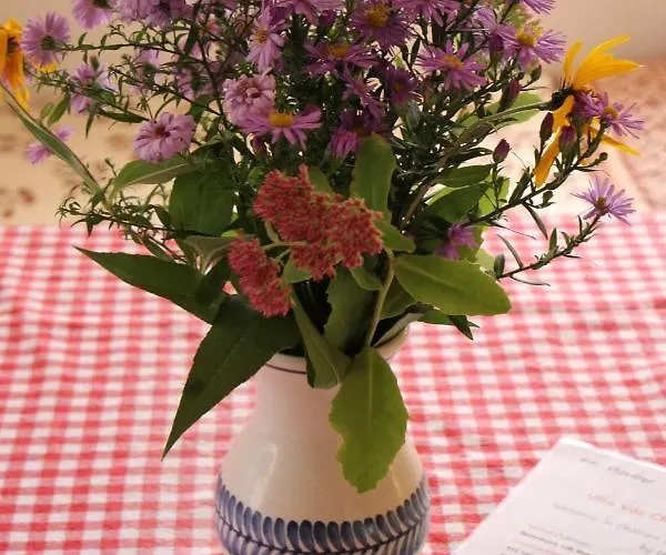 Pod Zamkem 公寓 Mnichovo Hradiště