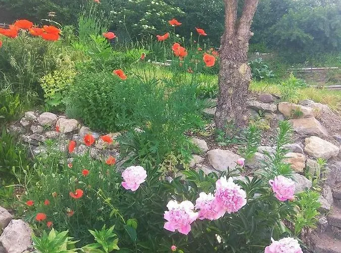 Apartament Pod Zamkem Mnichovo Hradiště