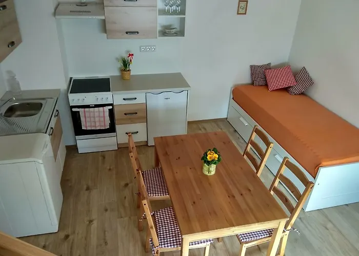 Pod Zamkem Appartement *